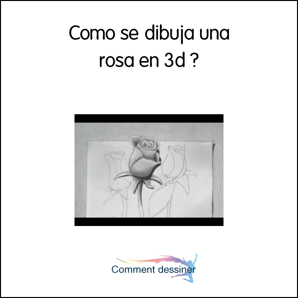 Como se dibuja una rosa en 3d